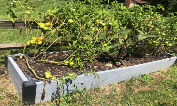 Raised Garden Bed