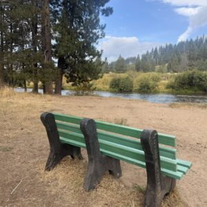 Upcycled Bench