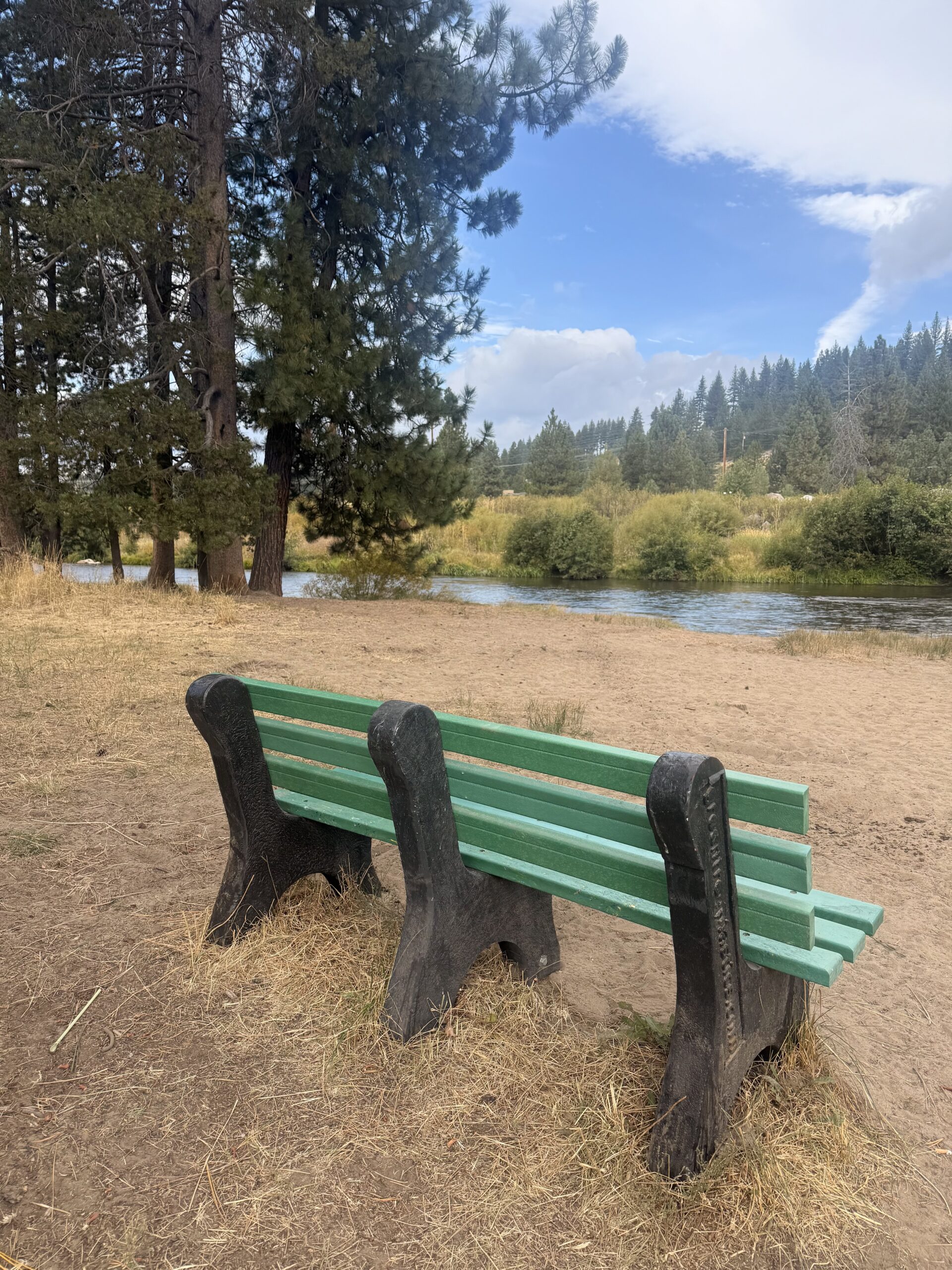Upcycled Bench