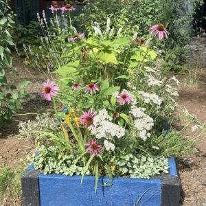 Raised Garden Bed