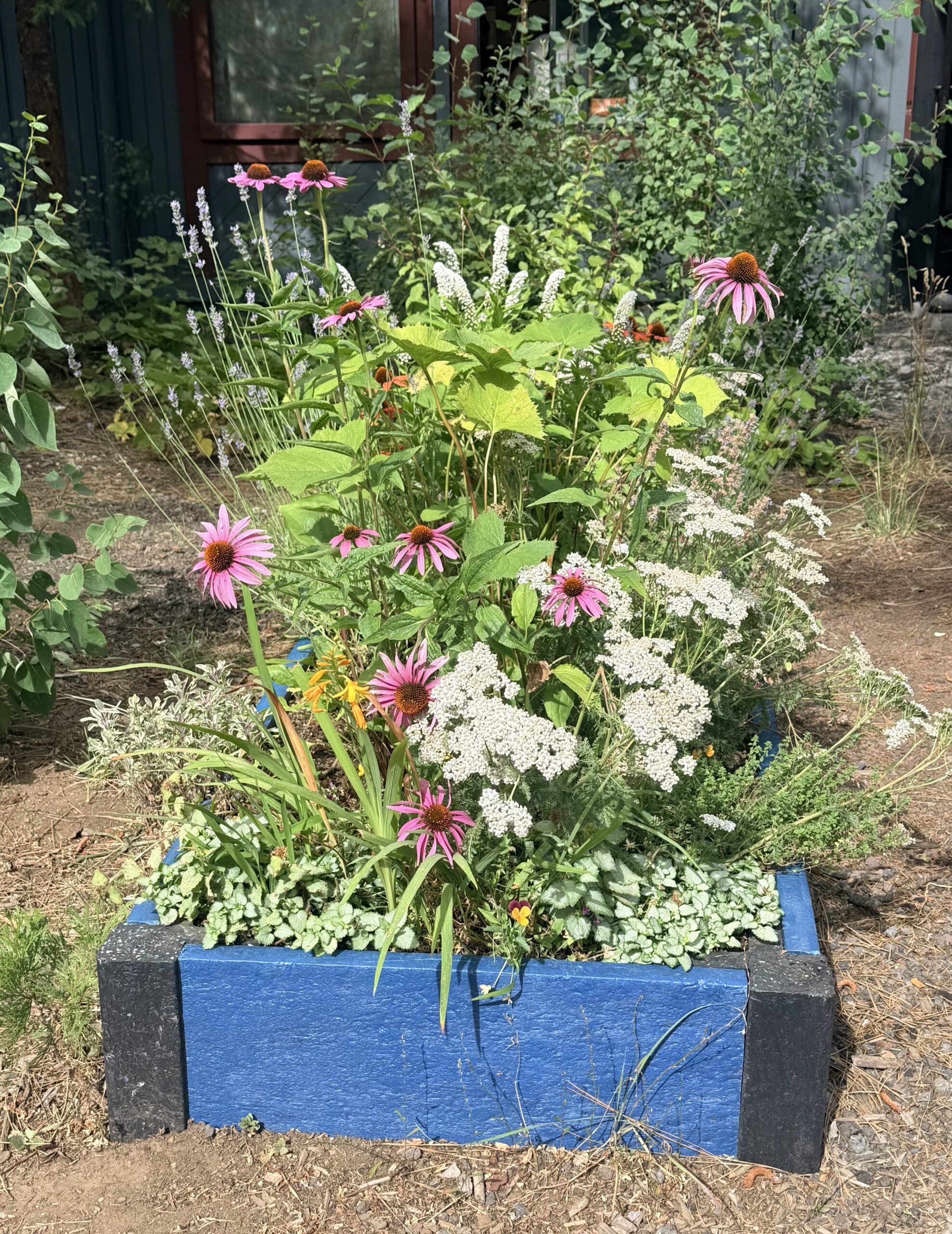 Raised Garden Bed
